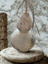 Harvested, Decorative Natural Gourds