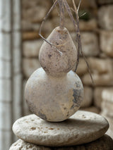 Harvested, Decorative Natural Gourds