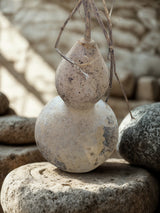 Harvested, Decorative Natural Gourds